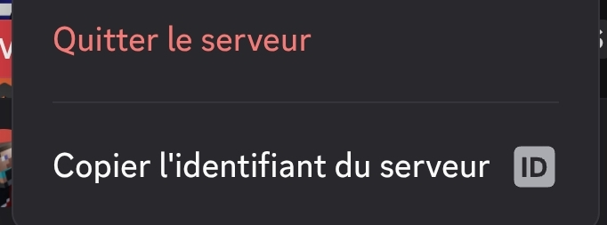 Récupérer les IDs Discord